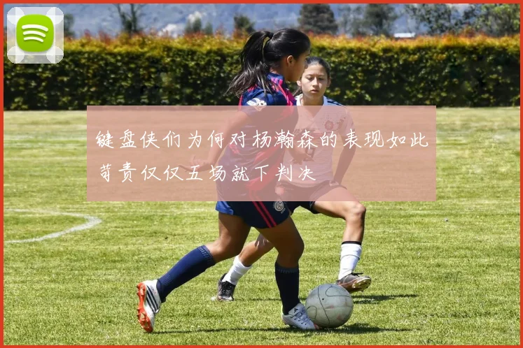 键盘侠们为何对杨瀚森的表现如此苛责仅仅五场就下判决